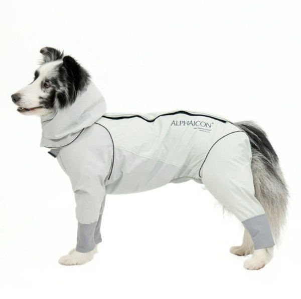 画像4:  【アルファアイコン】 レインドッグガード(2026年モデル) (4)