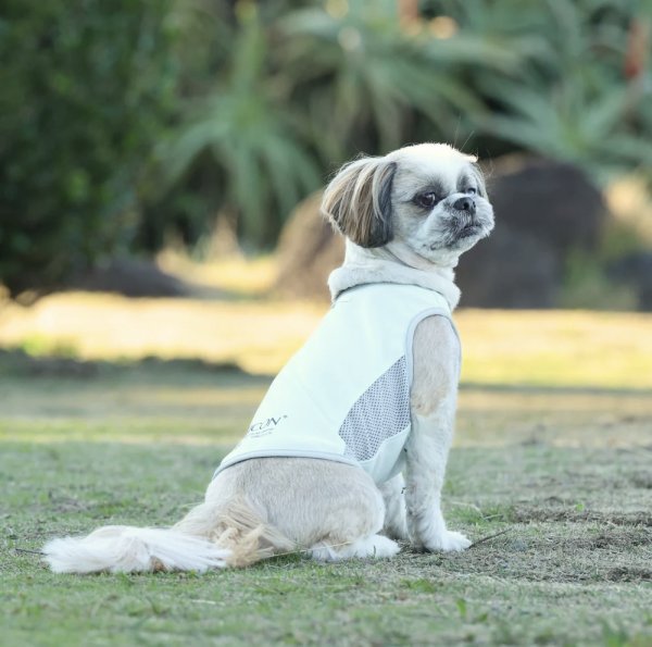 画像4:  【アルファアイコン】 サマークーリングタンクトップ(2026年モデル) (4)