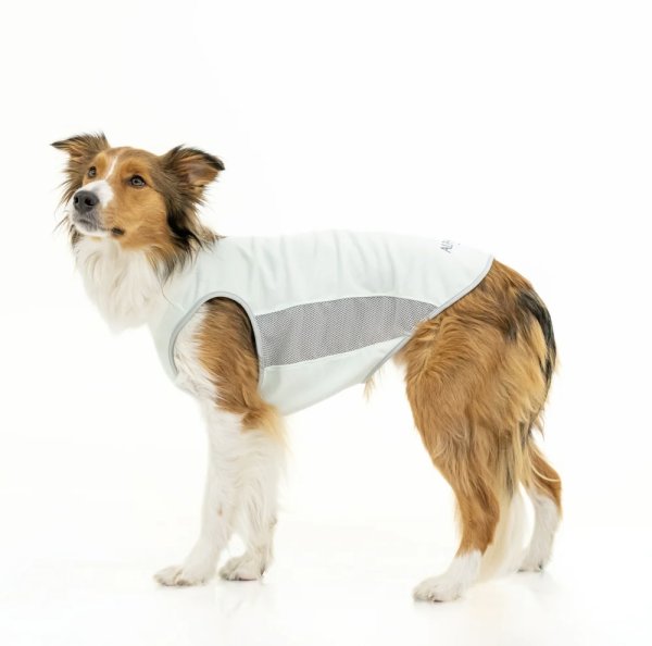 画像3:  【アルファアイコン】 サマークーリングタンクトップ(2026年モデル) (3)