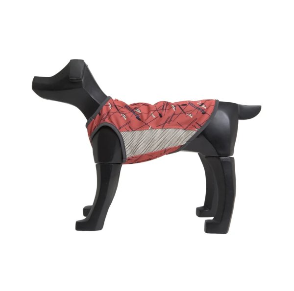 画像21:  【アルファアイコン】 サマークーリングタンクトップ(2026年モデル) (21)