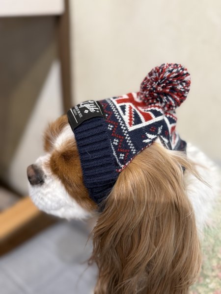 画像3: ナショナルフラッグニット帽 (3)