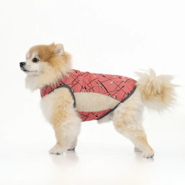 画像22:  【アルファアイコン】 サマークーリングタンクトップ(2026年モデル) (22)