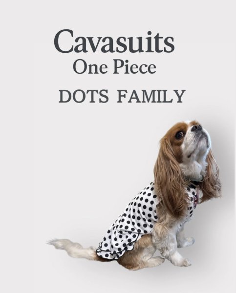 画像2:  【注文受付中】  2月新作 【キャバスーツ ワンピ】DOTS FAMILY（ドットファミリー） (2)