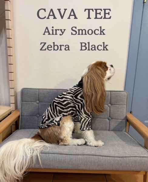 画像1:  【注文受付中】  8月新作 【CAVA TEE】Airy SMOCK：ZEBRA BLACK (1)