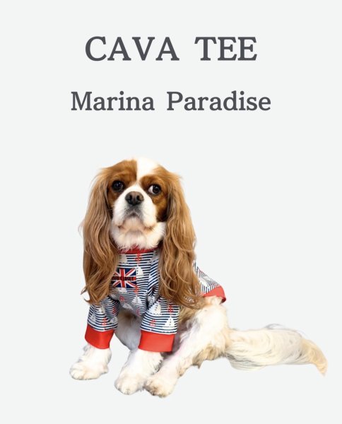 画像2: 【CAVA TEE】Marina Paradise (2)