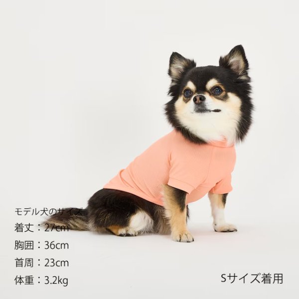 画像17: INSECT SHIELD SKIN TIGHT T-SHIRT  インセクトシールドスキンタイトＴシャツ (17)