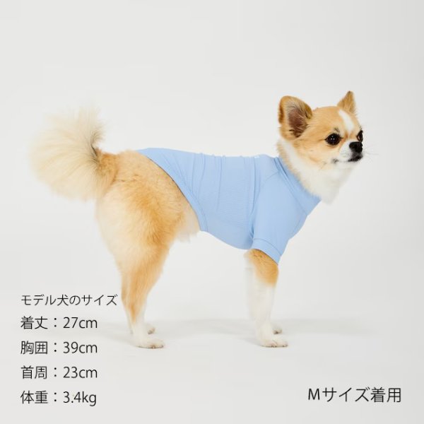 画像18: INSECT SHIELD SKIN TIGHT T-SHIRT  インセクトシールドスキンタイトＴシャツ (18)