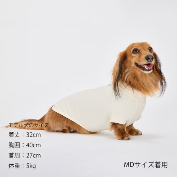 画像20: INSECT SHIELD SKIN TIGHT T-SHIRT  インセクトシールドスキンタイトＴシャツ (20)