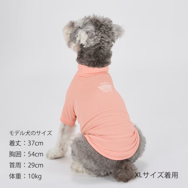 画像22: INSECT SHIELD SKIN TIGHT T-SHIRT  インセクトシールドスキンタイトＴシャツ (22)