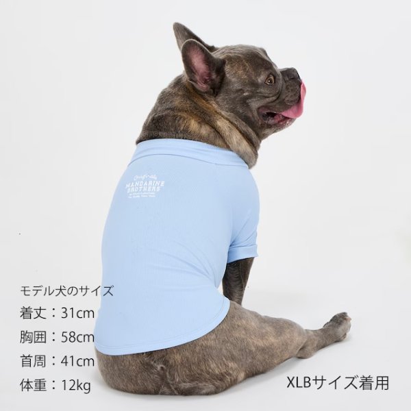 画像23: INSECT SHIELD SKIN TIGHT T-SHIRT  インセクトシールドスキンタイトＴシャツ (23)