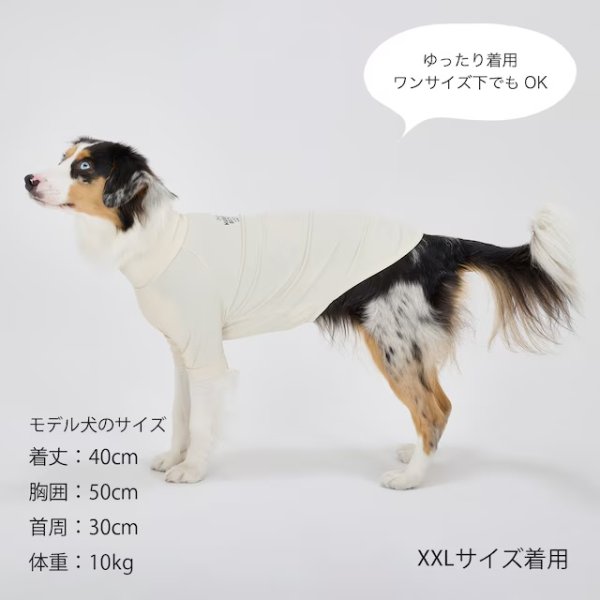 画像24: INSECT SHIELD SKIN TIGHT T-SHIRT  インセクトシールドスキンタイトＴシャツ (24)