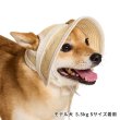 画像5: ペーパーストローハット (5)