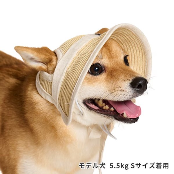 画像5: ペーパーストローハット (5)