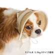 画像6: ペーパーストローハット (6)