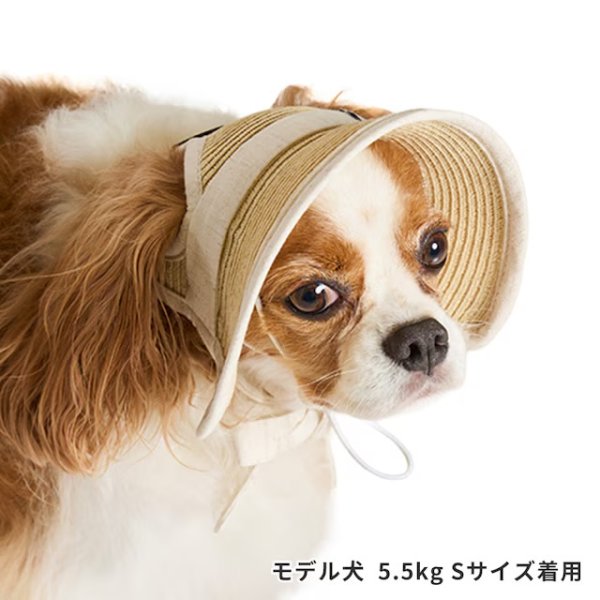画像6: ペーパーストローハット (6)