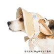 画像9: ペーパーストローハット (9)