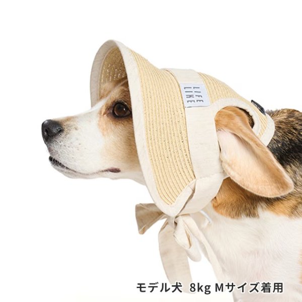 画像9: ペーパーストローハット (9)