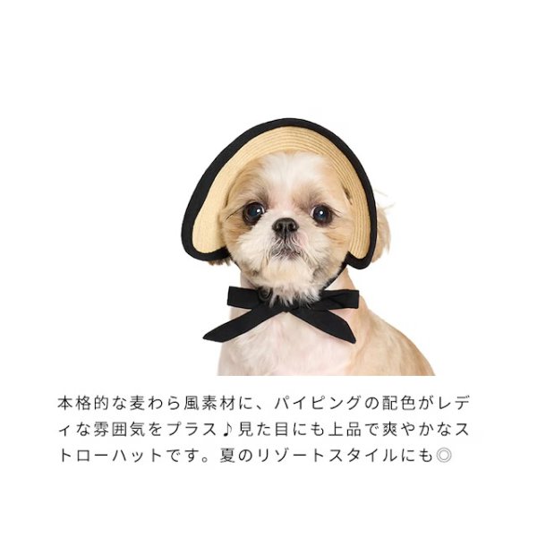 画像12: ペーパーストローハット (12)