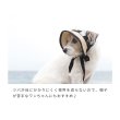 画像14: ペーパーストローハット (14)