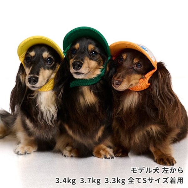 画像6: ベースボールキャップ（イエロー） (6)