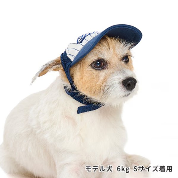 画像3: ベースボールキャップ（イエロー） (3)