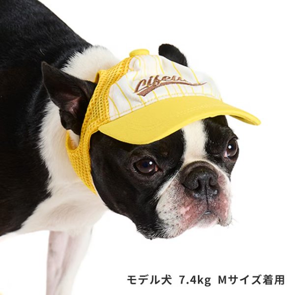 画像1: ベースボールキャップ（イエロー） (1)