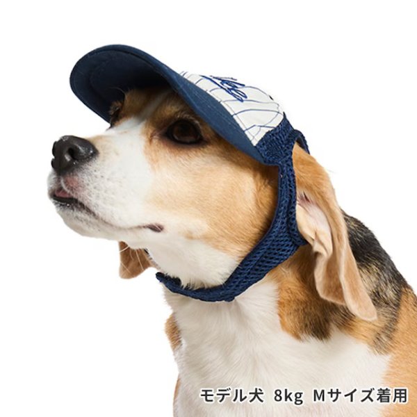 画像4: ベースボールキャップ（イエロー） (4)