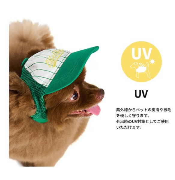 画像10: ベースボールキャップ（イエロー） (10)