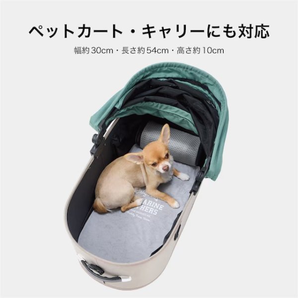 画像11: ICY COZY MINI MAT (11)