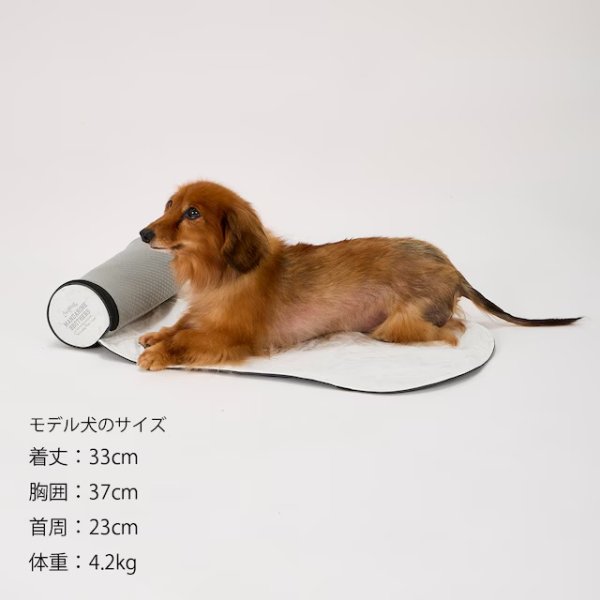 画像21: ICY COZY MINI MAT (21)