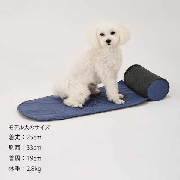 画像22: ICY COZY MINI MAT (22)