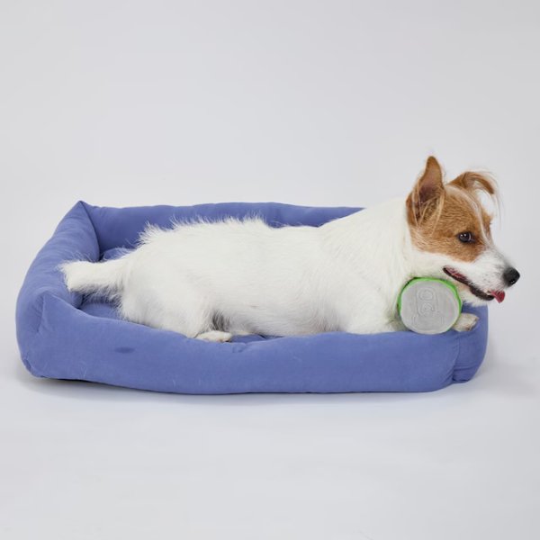画像12: MB ICY PET PILLOW (12)