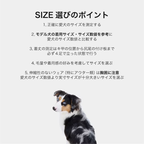 画像17: RAIN SUIT (17)