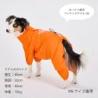 画像23: RAIN SUIT (23)