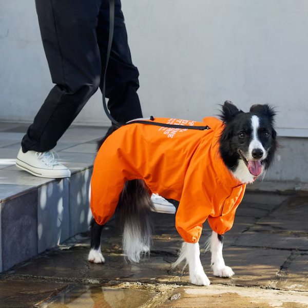 画像24: RAIN SUIT (24)