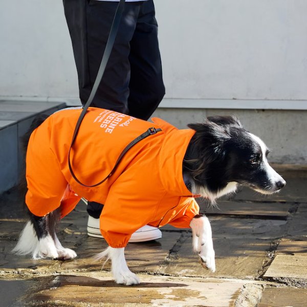 画像25: RAIN SUIT (25)