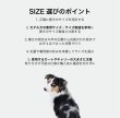 画像16: MB ICY WALL (16)