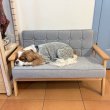 画像5: Dog Chair (5)