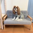 画像3: Dog Chair (3)
