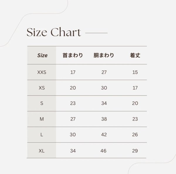 画像19: 【Riche】クラッシースタイルTシャツ (19)