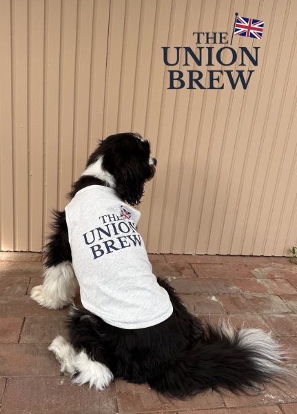 画像4: 【THE UNION BREW】コットンタンク (4)