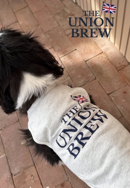 画像5: 【THE UNION BREW】コットンタンク (5)