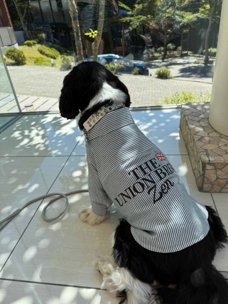 画像5:  【オリジナルネーム入り】 UNION BREW バリスタシャツ (5)