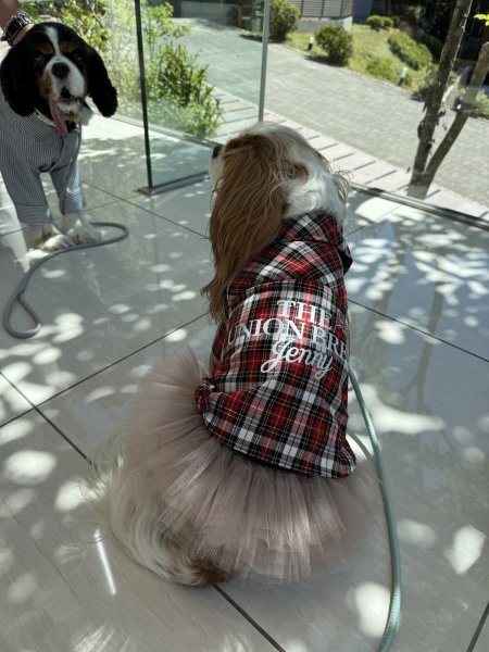 画像5: 【Jennifer & Colour】PUFFスカート (5)