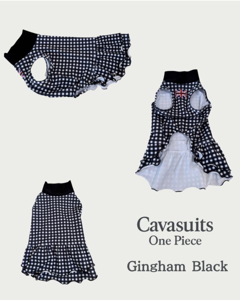 画像4:  【注文受付中】  9月新作 【キャバスーツ ワンピ】GINGHAM BLACK (4)