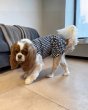 画像3:  【注文受付中】  9月新作 【キャバスーツ ワンピ】GINGHAM BLACK (3)
