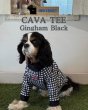 画像2:  【注文受付中】  9月新作 【CAVA TEE】GINGHAM BLACK (2)