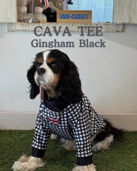 画像2:  【注文受付中】  9月新作 【CAVA TEE】GINGHAM BLACK (2)