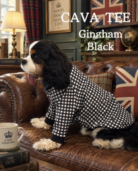 画像1:  【注文受付中】  9月新作 【CAVA TEE】GINGHAM BLACK (1)