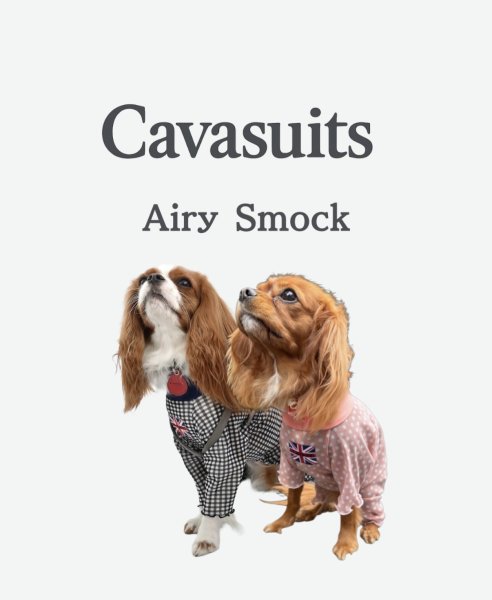 画像2:  3月新作 【キャバスーツ LIMITED】Airy SMOCK：ギンガムブラウス (2)